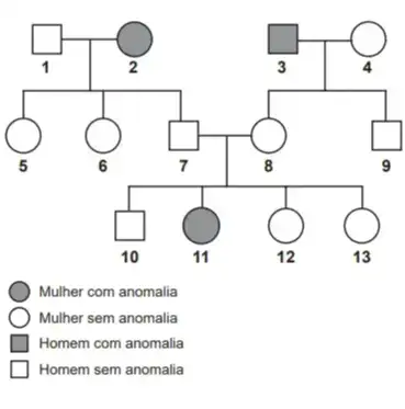 Biologia questoes treinar enem, Exercícios Biologia