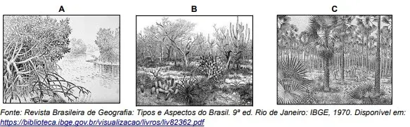 EsPCEx 2021: Geografia