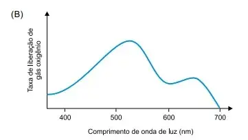 FAMERP 2023: Biologia