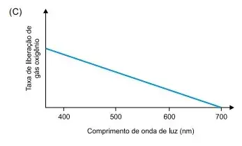 FAMERP 2023: Biologia