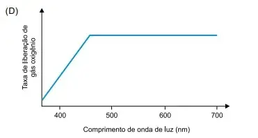 FAMERP 2023: Biologia