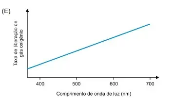 FAMERP 2023: Biologia