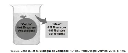 F. de Medicina de Petrópolis – FMP 2022: Biologia