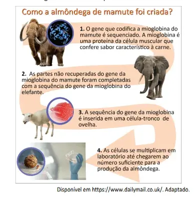 Em 2023, a imprensa mundial anunciou a criação da almôndega de carne de mamute