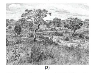 Os domínios morfoclimáticos e fitogeográficos propostos pelo geógrafo Aziz Nacib Ab´Sáber nos anos 1960 continuam válidos na atualidade